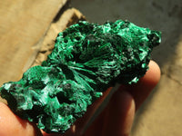Natural Chatoyant Silky Malachite Specimens  x 6 From Kasompe, Congo - Toprock Gemstones and Minerals 