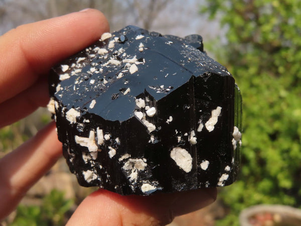 Natural Schorl Black Tourmaline Specimens x 6 From Erongo, Namibia