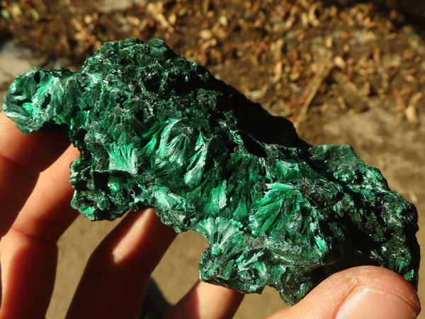 Natural Chatoyant Silky Malachite Specimens  x 6 From Kasompe, Congo - Toprock Gemstones and Minerals 
