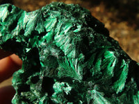 Natural Chatoyant Silky Malachite Specimens  x 6 From Kasompe, Congo - Toprock Gemstones and Minerals 