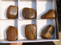 Polished Golden Tigers Eye Free Forms x 6 From Prieska, South Africa
