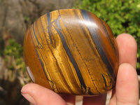Polished Golden Tigers Eye Free Forms x 6 From Prieska, South Africa