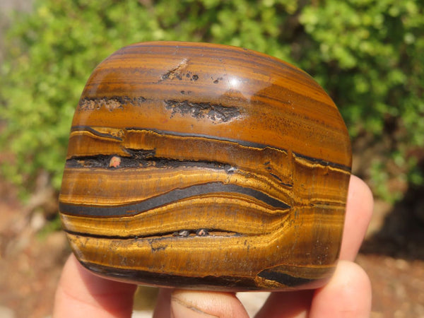 Polished Golden Tigers Eye Free Forms x 6 From Prieska, South Africa
