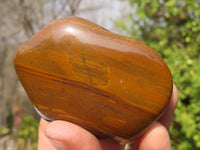 Polished Golden Tigers Eye Free Forms x 6 From Prieska, South Africa