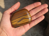 Polished Golden Tigers Eye Free Forms x 6 From Prieska, South Africa