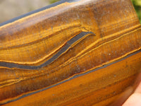 Polished Golden Tigers Eye Free Forms x 6 From Prieska, South Africa