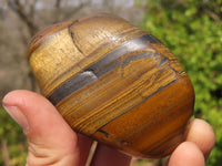 Polished Golden Tigers Eye Free Forms x 6 From Prieska, South Africa