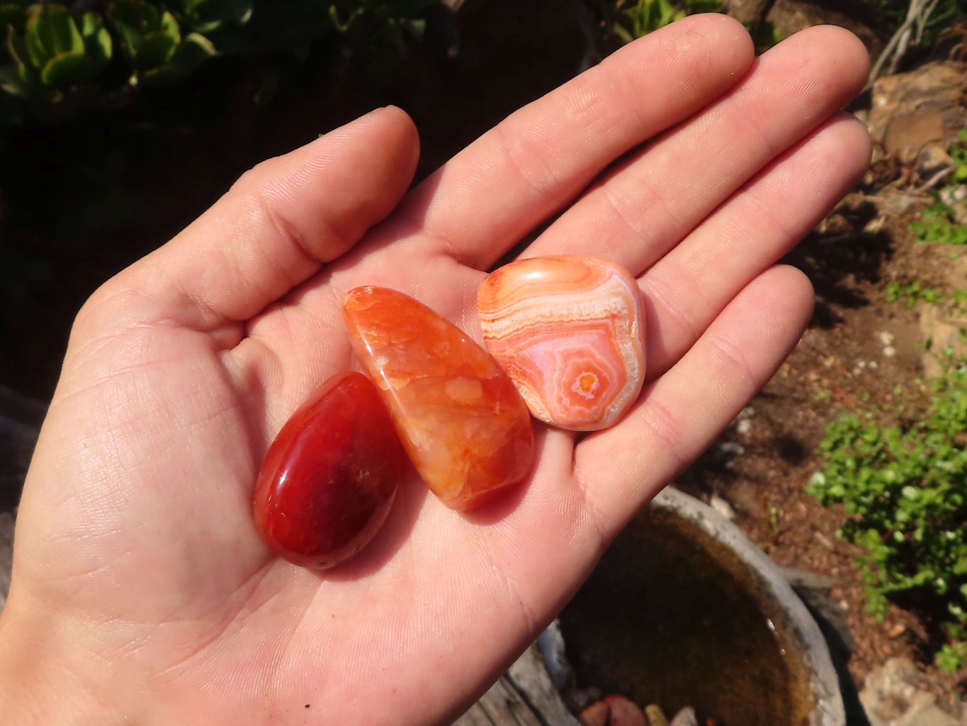Polished  Carnelian Agate Tumble Stones  x 1 Kg Lot From Madagascar - Toprock Gemstones and Minerals 