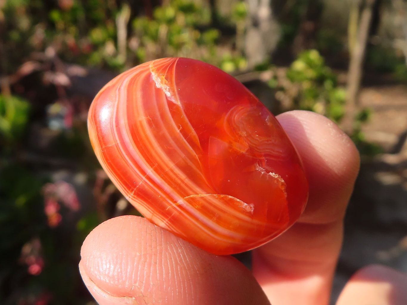 Polished  Carnelian Agate Tumble Stones  x 1 Kg Lot From Madagascar - Toprock Gemstones and Minerals 