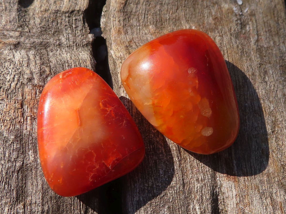 Polished  Carnelian Agate Tumble Stones  x 1 Kg Lot From Madagascar - Toprock Gemstones and Minerals 