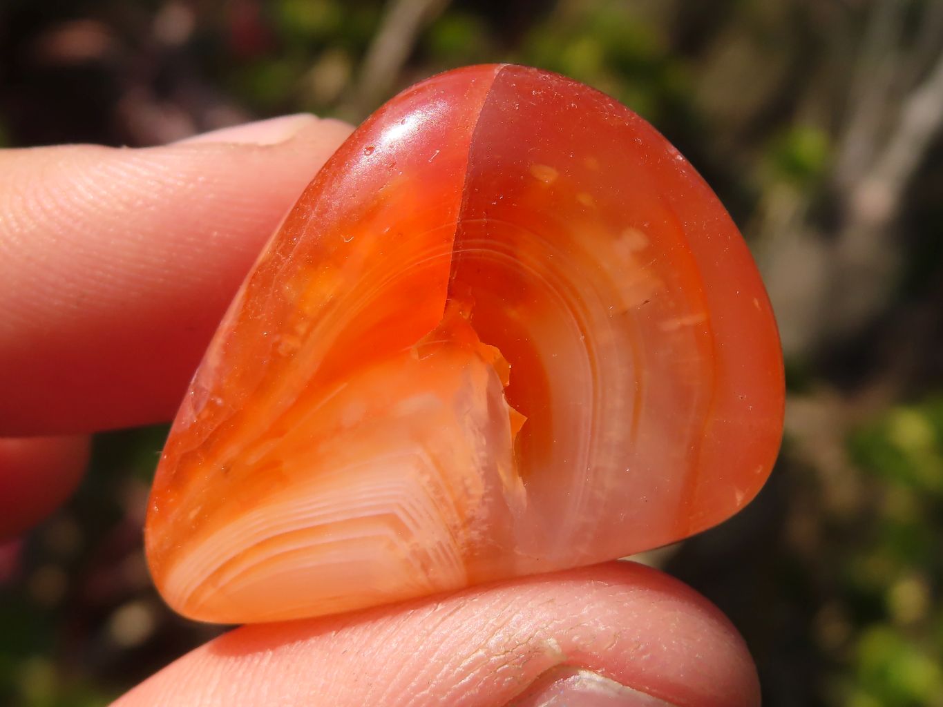 Polished  Carnelian Agate Tumble Stones  x 1 Kg Lot From Madagascar - Toprock Gemstones and Minerals 