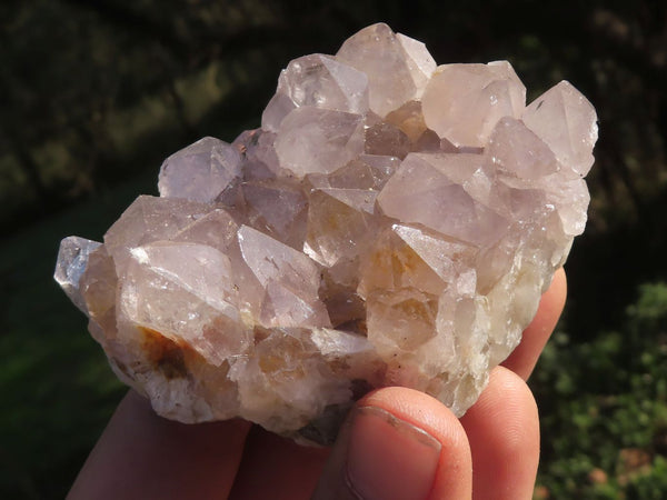 Natural Mixed Selection Of Spirit Quartz Clusters x 12 From Boekenhouthoek, South Africa - TopRock