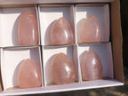 Polished Gemmy Rose Quartz Standing Free Forms x 6 From Madagascar - Toprock Gemstones and Minerals 