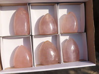 Polished Gemmy Rose Quartz Standing Free Forms x 6 From Madagascar - Toprock Gemstones and Minerals 