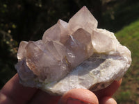 Natural Mixed Selection Of Spirit Quartz Clusters x 12 From Boekenhouthoek, South Africa - TopRock
