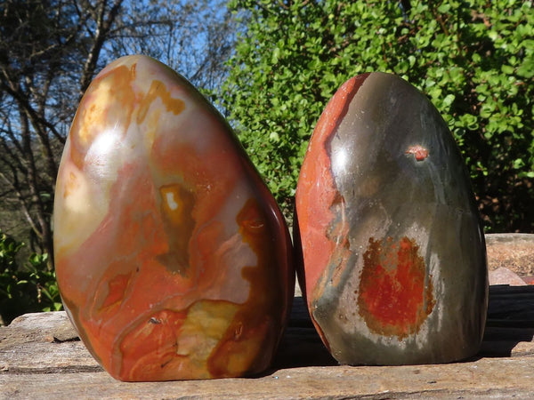 Polished Polychrome / Picasso Jasper Standing Free Forms  x 2 From Madagascar - Toprock Gemstones and Minerals 
