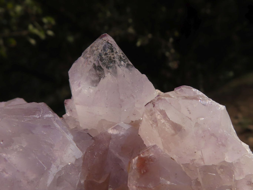 Natural Mixed Selection Of Spirit Quartz Clusters x 12 From Boekenhouthoek, South Africa - TopRock