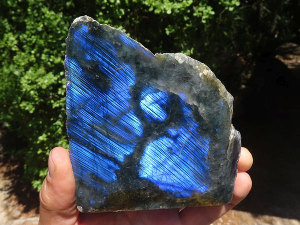 Polished One Side Polished Labradorite Slices  x 4 From Tulear, Madagascar - TopRock