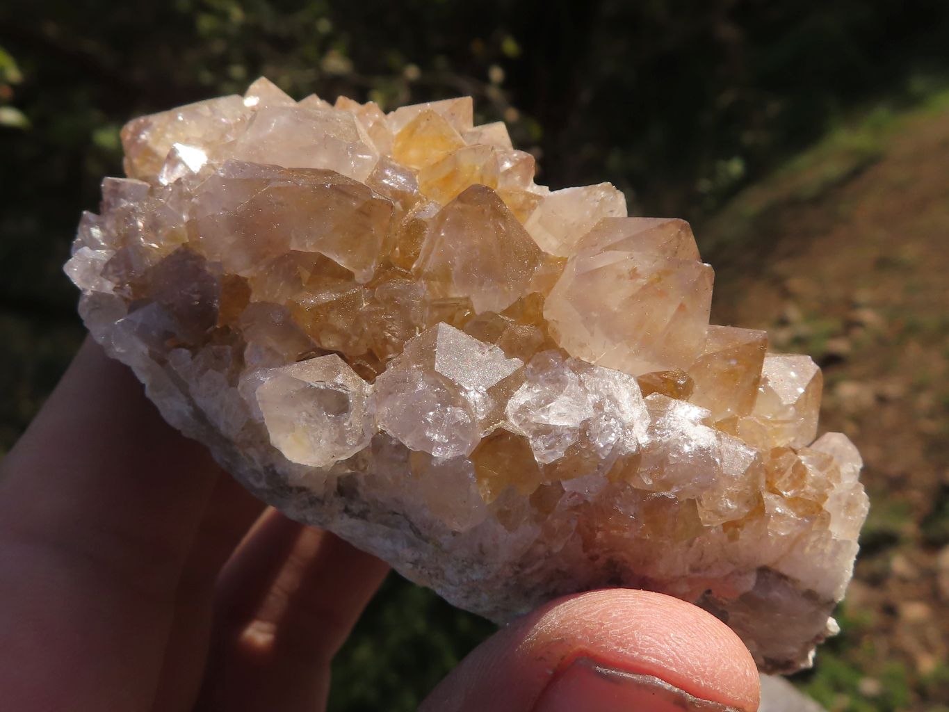 Natural Mixed Selection Of Spirit Quartz Clusters x 12 From Boekenhouthoek, South Africa - TopRock