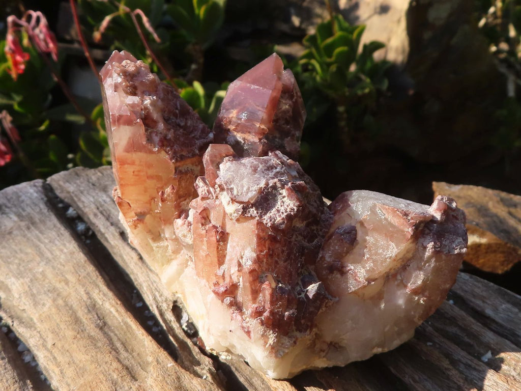 Natural Red Hematoid Phantom Quartz Clusters x 6 From Karoi, Zimbabwe - Toprock Gemstones and Minerals 