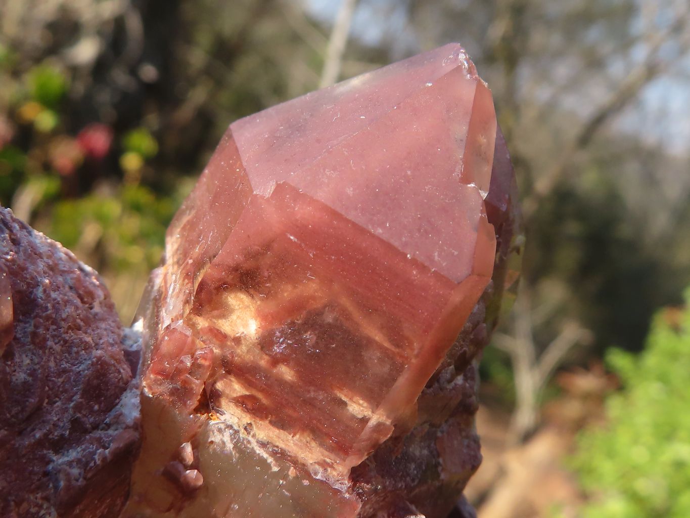Natural Red Hematoid Phantom Quartz Clusters x 6 From Karoi, Zimbabwe - Toprock Gemstones and Minerals 