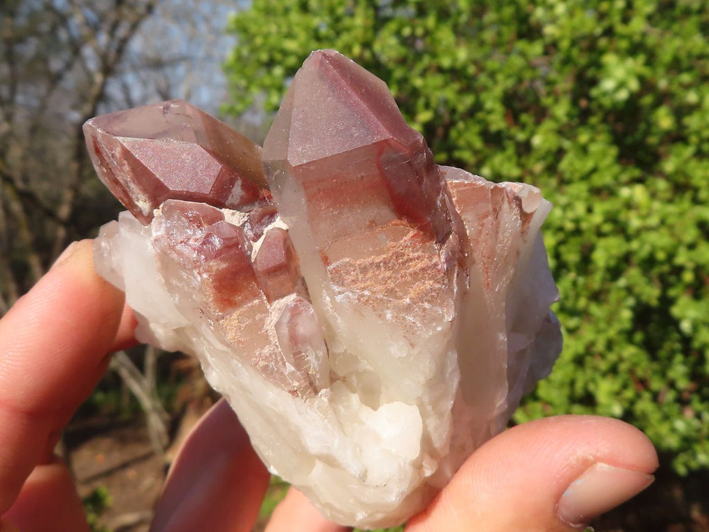 Natural Red Hematoid Phantom Quartz Clusters x 6 From Karoi, Zimbabwe - Toprock Gemstones and Minerals 