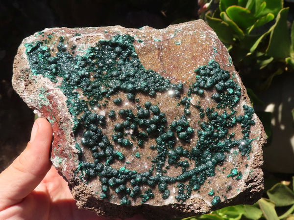 Natural Extra Large Rare Ball Malachite Specimen  x 1 From Congo - Toprock Gemstones and Minerals 