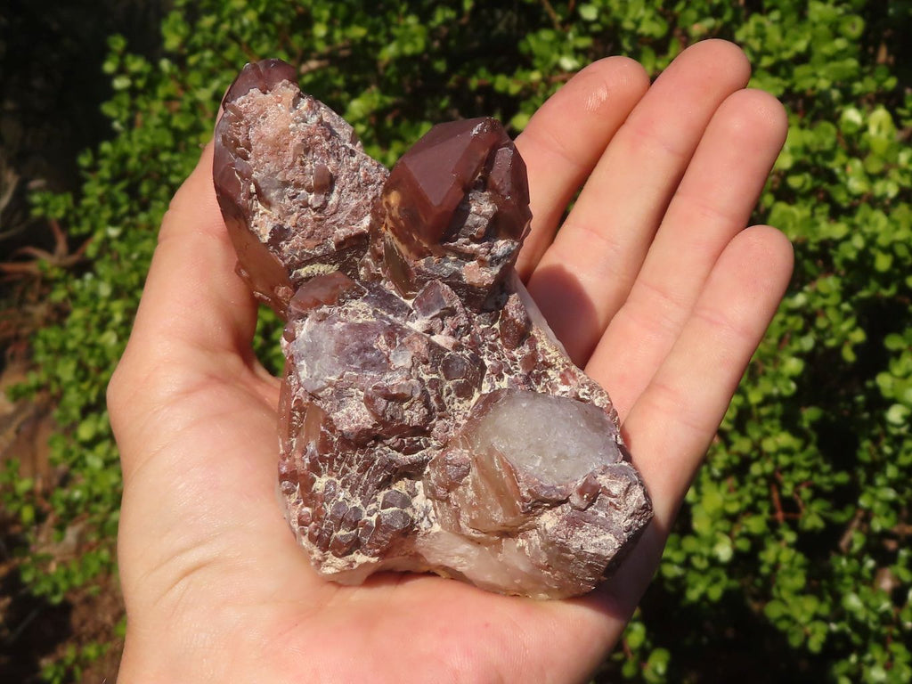 Natural Red Hematoid Phantom Quartz Clusters x 6 From Karoi, Zimbabwe - Toprock Gemstones and Minerals 