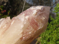 Natural Red Hematoid Phantom Quartz Clusters x 6 From Karoi, Zimbabwe - Toprock Gemstones and Minerals 