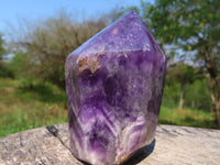 Polished Chevron Amethyst Crystals x 2 From Zambia - TopRock