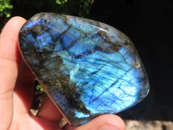 Polished Labradorite Standing Free Forms With Blue Flash  x 3 From Tulear, Madagascar - TopRock