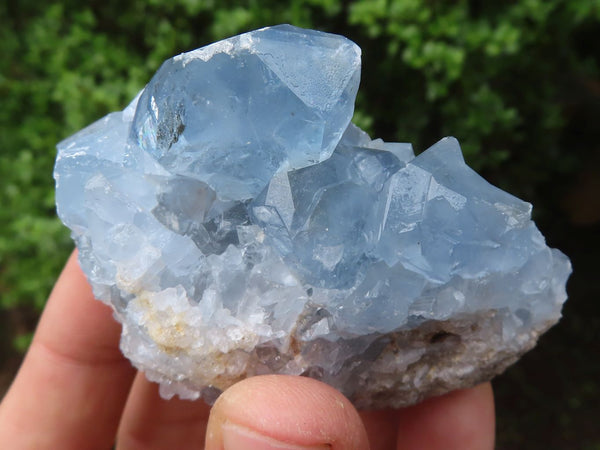 Natural Blue Celestite Crystal Specimens  x 7 From Sakoany, Madagascar - Toprock Gemstones and Minerals 