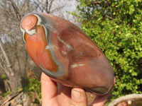 Polished Polychrome Jasper Standing Free Form  x 1 From Madagascar - Toprock Gemstones and Minerals 