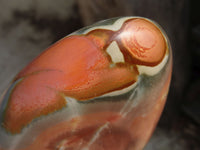 Polished Polychrome Jasper Standing Free Form  x 1 From Madagascar - Toprock Gemstones and Minerals 