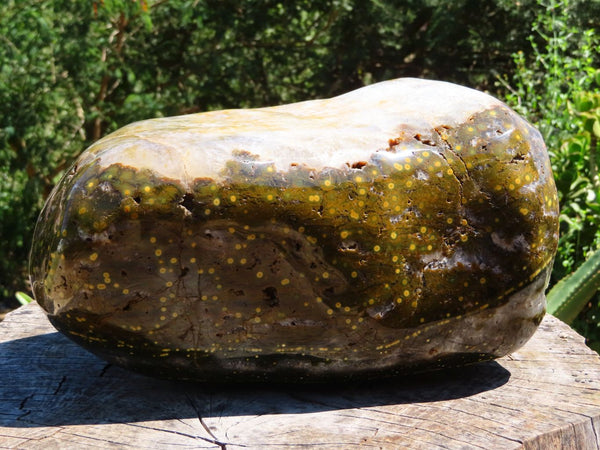 Polished Extra Extra Large Orbicular Ocean Jasper Standing Free Form x 1 From Madagascar - TopRock