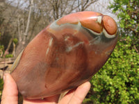 Polished Polychrome Jasper Standing Free Form  x 1 From Madagascar - Toprock Gemstones and Minerals 