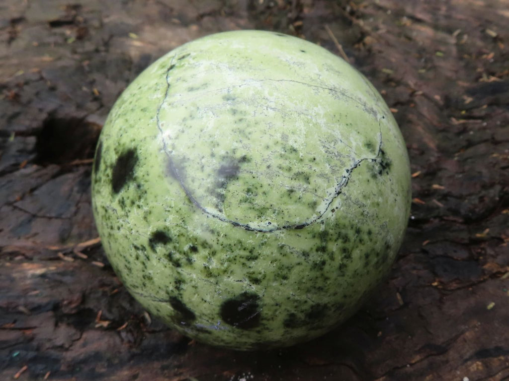 Polished Leopard Stone Spheres  x 2 From Zimbabwe - Toprock Gemstones and Minerals 