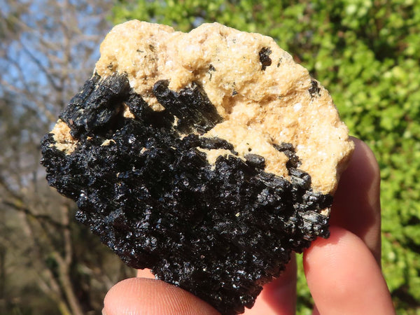 Natural Schorl Black Tourmaline Specimens x 12 From Erongo, Namibia