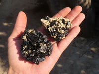 Natural Schorl Black Tourmaline Specimens x 12 From Erongo, Namibia