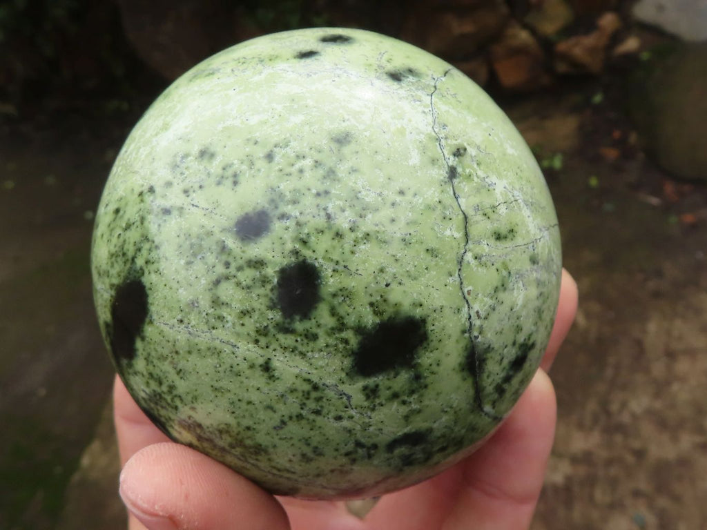 Polished Leopard Stone Spheres  x 2 From Zimbabwe - Toprock Gemstones and Minerals 
