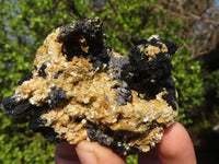 Natural Schorl Black Tourmaline Specimens x 12 From Erongo, Namibia