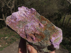 Natural Purple Stichtite Specimens  x 4 From Barberton, South Africa - TopRock