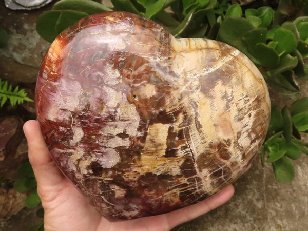 Polished Extra Large Petrified Wood Heart  x 1 From Madagascar - TopRock