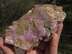 Natural Purple Stichtite Specimens  x 4 From Barberton, South Africa - TopRock