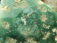 Polished On One Side Emerald Mtorolite Plates x 6 From Mutorashanga, Zimbabwe - Toprock Gemstones and Minerals 
