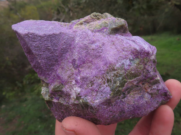 Natural Rough Purple Stichtite Specimens  x 5 From Barberton, South Africa - TopRock