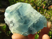 Polished  One Side Polished Watermelon Fluorite Pieces  x 12 From Uis, Namibia - Toprock Gemstones and Minerals 