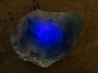 Polished  One Side Polished Watermelon Fluorite Pieces  x 12 From Uis, Namibia - Toprock Gemstones and Minerals 