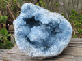 Natural Blue Celestite Geode Specimen  x 1 From Sakoany, Madagascar - Toprock Gemstones and Minerals 