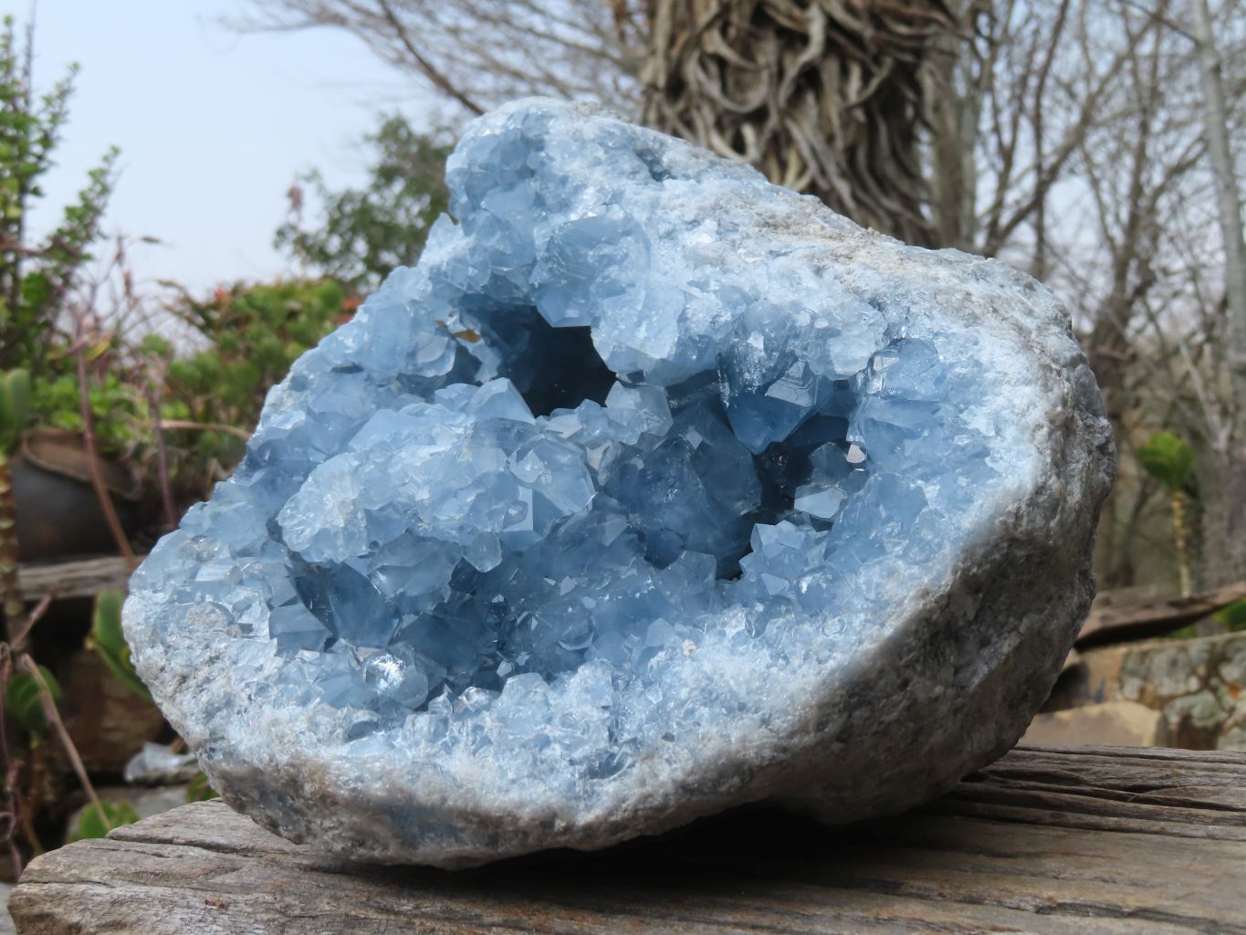 Natural Blue Celestite Geode Specimen  x 1 From Sakoany, Madagascar - Toprock Gemstones and Minerals 